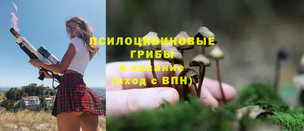 мет Кукмор